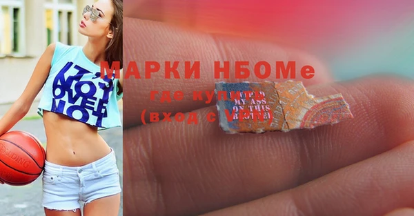 гашик Алексин
