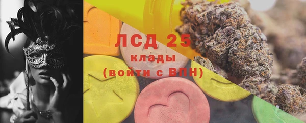 гашик Алексин