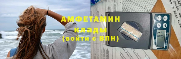 гашик Алексин