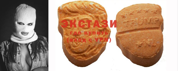 гашик Алексин