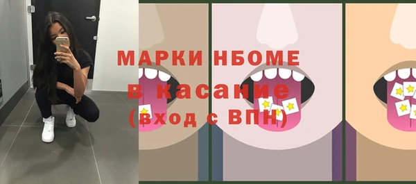 гашик Алексин