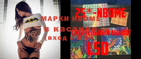 гашик Алексин