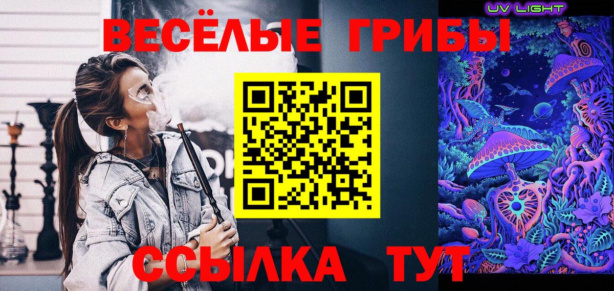Псилоцибиновые грибы GOLDEN TEACHER Кыштым